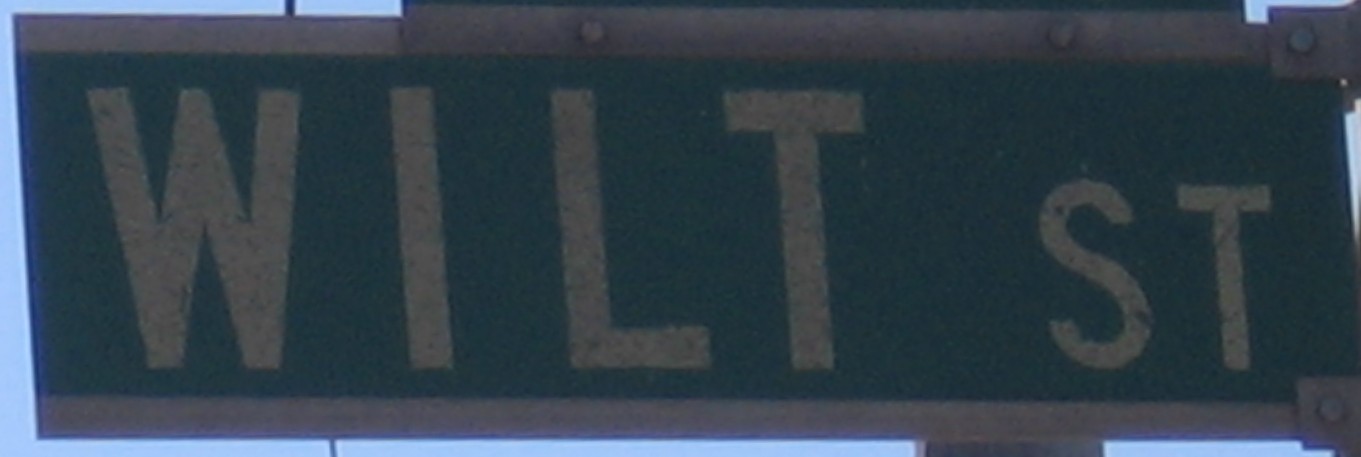 Wilt Street, Fishtown